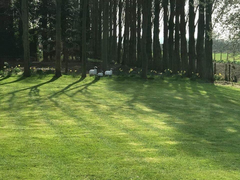 B&B Le Jardin De Grand-Mere Уденбург Экстерьер фото